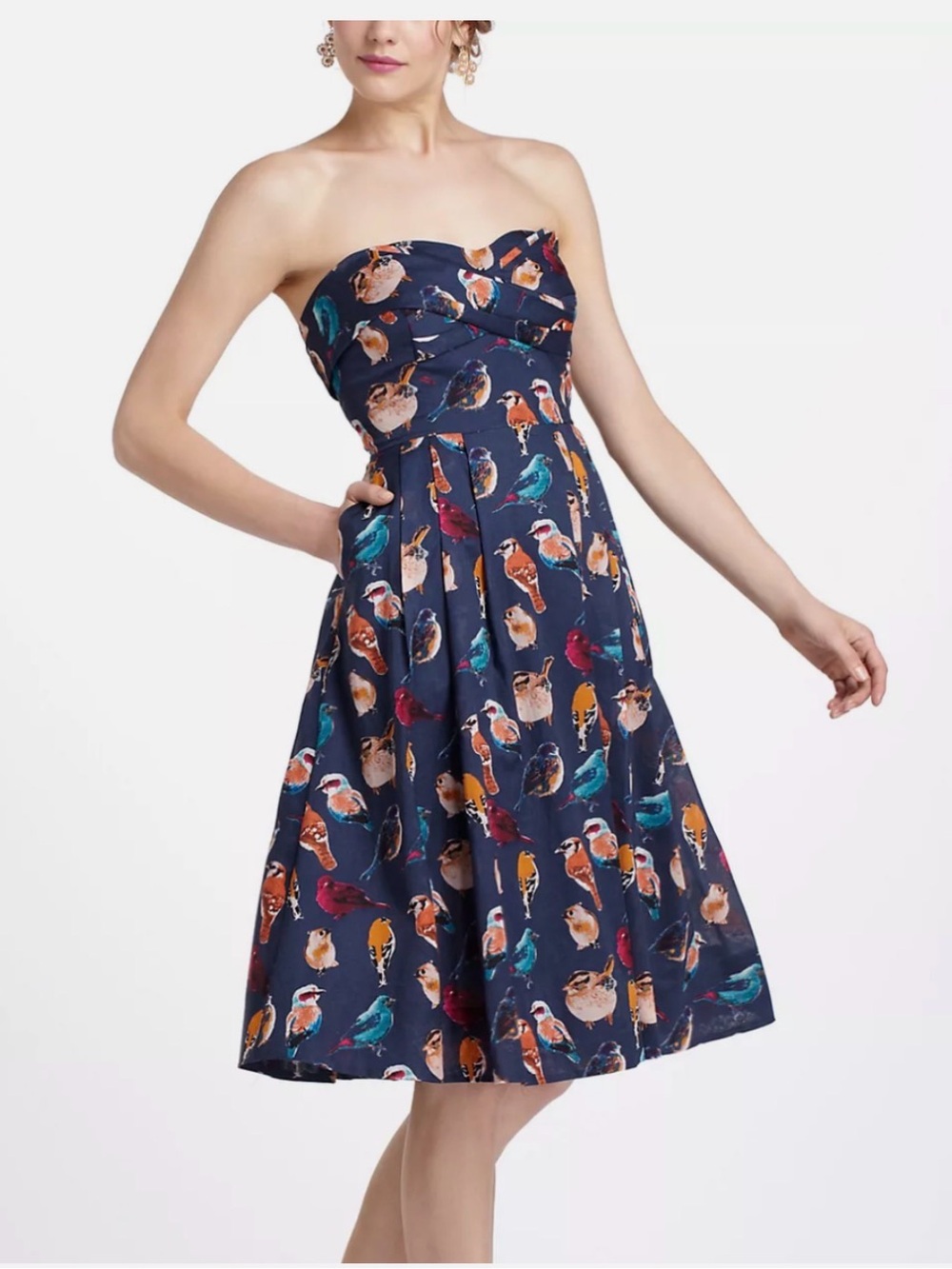 Maeve Native Birds Dress Blue Brown Size 4 - Picture 2 of 16